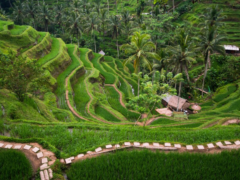 Why Residential Homes Remain a Safe Haven in Times of Economic Uncertainty and Why Bali Has a Unique Edge