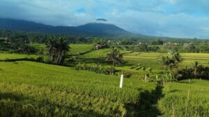 Bali’s New Permit Freeze: How Floods Are Forcing a Turning Point for Land Conversion Policy