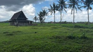 Sebelum Menyewa Tanah Adat Bali, Periksa Hal Ini