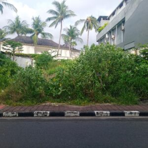 Tanah Kayu Aya Patitenget Seminyak 3.95 - 02