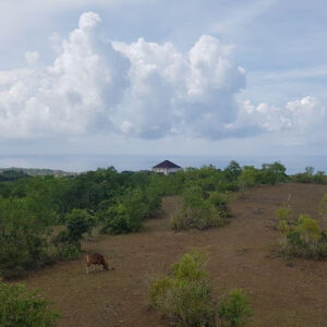 bwd-lahan-pecatu-3