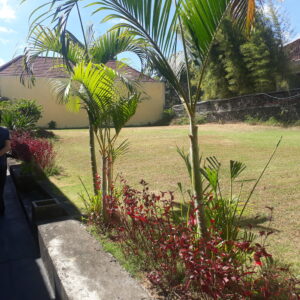 bwd-tanah-kavling-balangan-ungasan-kuta-selatan-1