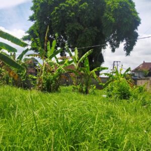 bwd-tanah-sading-mengwi-8