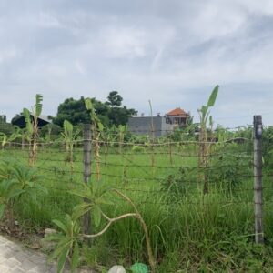 bwd-tanah-sedap-malam-11