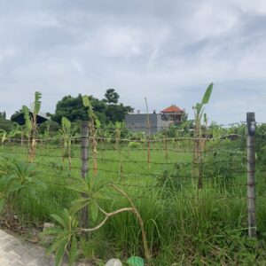 bwd-tanah-sedap-malam-11