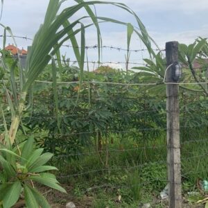 bwd-tanah-sedap-malam-5