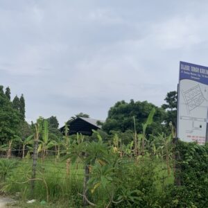 bwd-tanah-sedap-malam-6