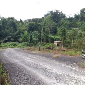 bwd-tanah-sembung-kerambitan-2
