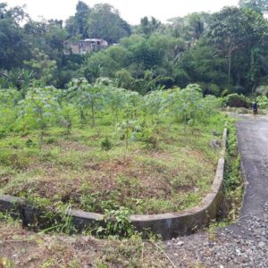 bwd-tanah-sembung-kerambitan-3