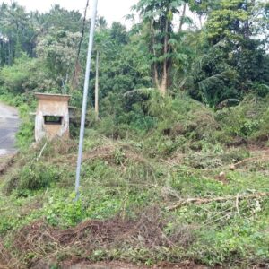 bwd-tanah-sembung-kerambitan-4