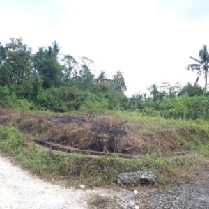 bwd-tanah-sembung-kerambitan-5