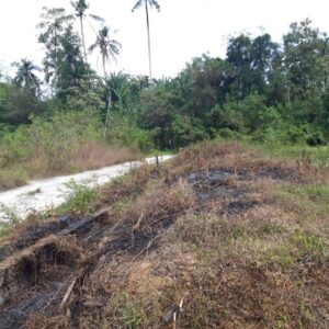 bwd-tanah-sembung-kerambitan-7