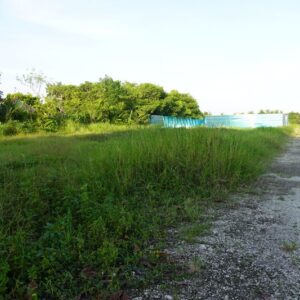 bwd-tanah-sewa-pererenan-1