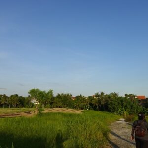 bwd-tanah-sewa-pererenan-11