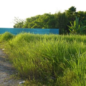 bwd-tanah-sewa-pererenan-13