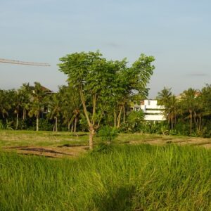 bwd-tanah-sewa-pererenan-15