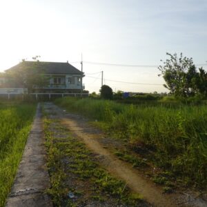 bwd-tanah-sewa-pererenan-6