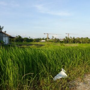 bwd-tanah-sewa-pererenan-7