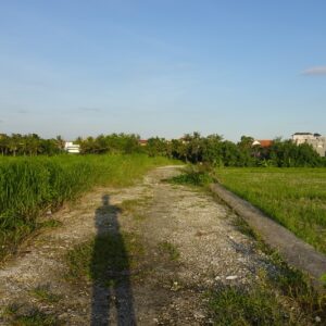 bwd-tanah-sewa-pererenan-8