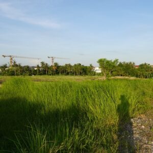 bwd-tanah-sewa-pererenan-9