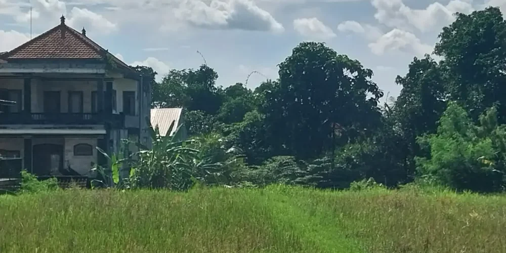 Singekerta pink zone 03