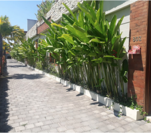 bwd-villa-d'wina-batu-belig-20