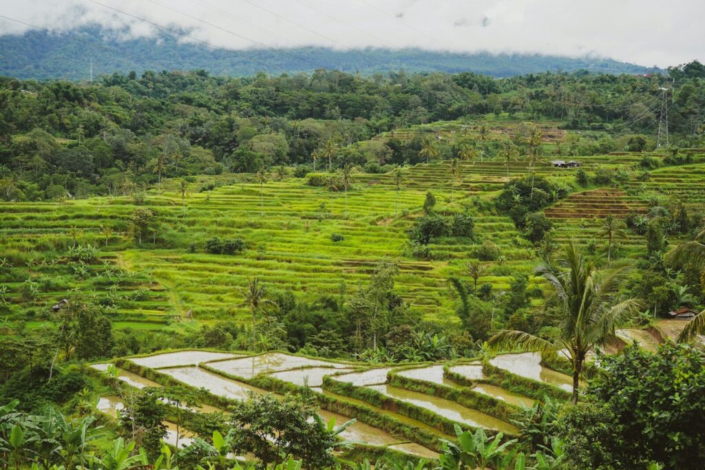 Aturan Luasan Minimal Kavling Tanah di Bali